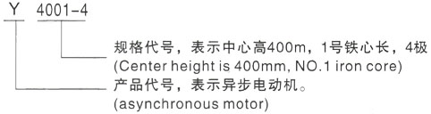 西安泰富西玛Y系列(H355-1000)高压湛河三相异步电机型号说明